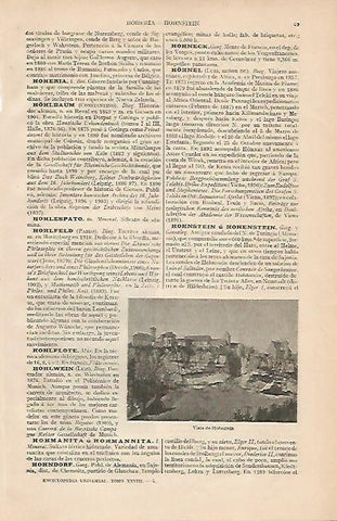 LAMINA ESPASA Alemania 4413: Vista de Hphnstein Alemania