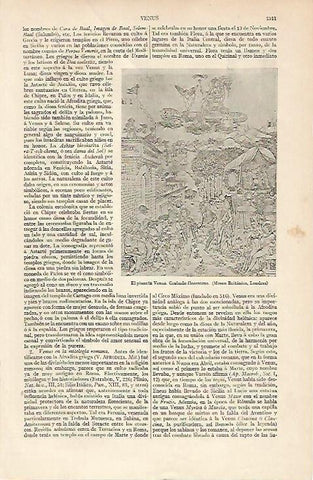 LAMINA ESPASA 6046: El planeta Venus. Grabado de Florencia