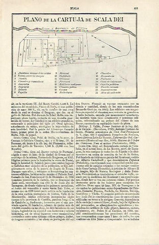 LAMINA ESPASA 12426: Plano de la Cartuja de Scala Dei