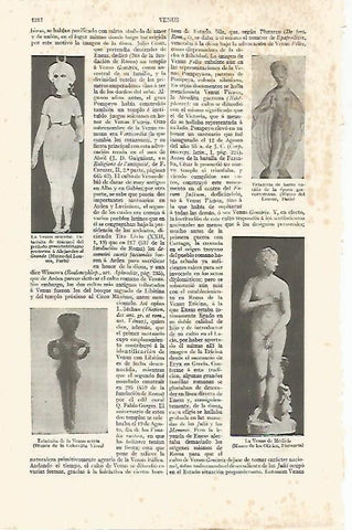 LAMINA ESPASA 17525: Venus