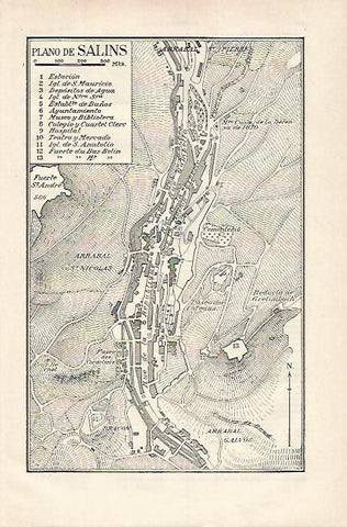 LAMINA ESPASA 18183: Plano de Salins