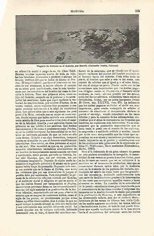 LAMINA ESPASA 18523: Plegaria de Mahoma en el desierto por Morelli