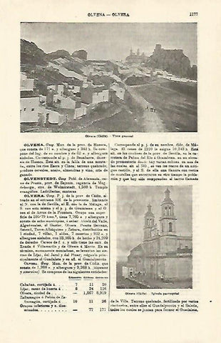 LAMINA ESPASA 21392: Vista de Olivera Cadiz