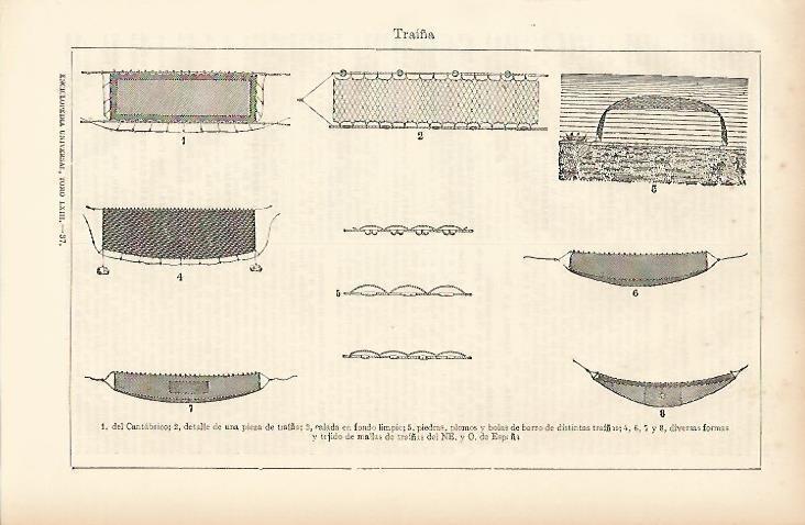 LAMINA ESPASA 11044: Tipos de traiña