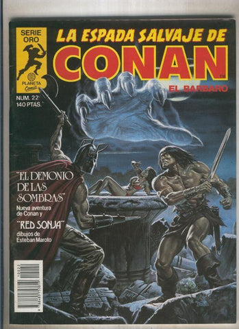 La espada salvaje de conan volumen 1 numero 022