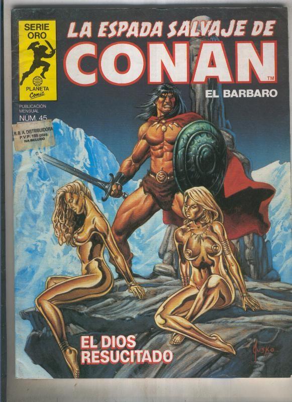 La espada salvaje de conan volumen 1 numero 045