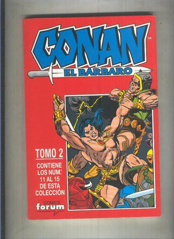 Conan el Barbaro volumen 1, segunda edicion retapado numero 11 al 15