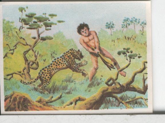 Cromos: Aventuras de Jorge, el Pequeño Tarzan, autor Gigarpe numero 018