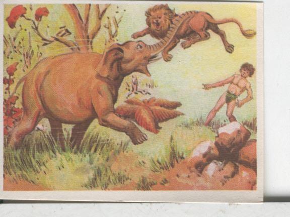 Cromos: Aventuras de Jorge, el Pequeño Tarzan, autor Gigarpe numero 043