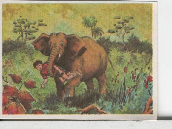 Cromos: Aventuras de Jorge, el Pequeño Tarzan, autor Gigarpe numero 006