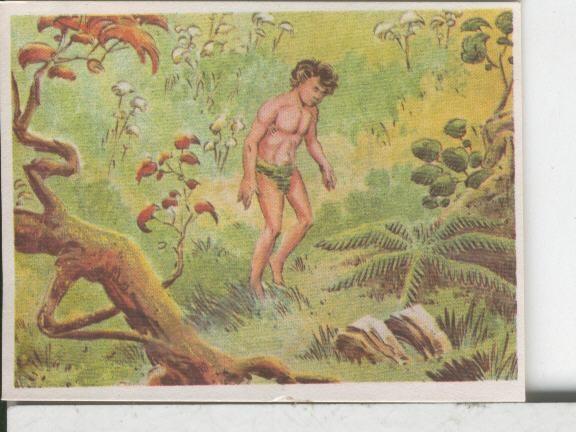 Cromos: Aventuras de Jorge, el Pequeño Tarzan, autor Gigarpe numero 034