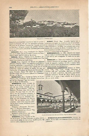 LAMINA ESPASA 22224: Vista de Bibbiena Italia