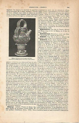 LAMINA ESPASA 22226: Ceramica de Saint Porchaire