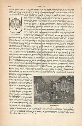 LAMINA ESPASA 22267: Escudo de Birmania
