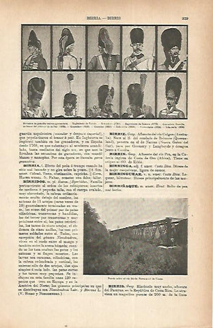 LAMINA ESPASA 22272: Tipos de birretinas