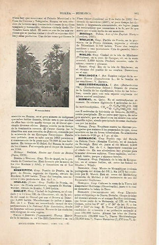 LAMINA ESPASA 22280: Oasis de Biskra Argelia