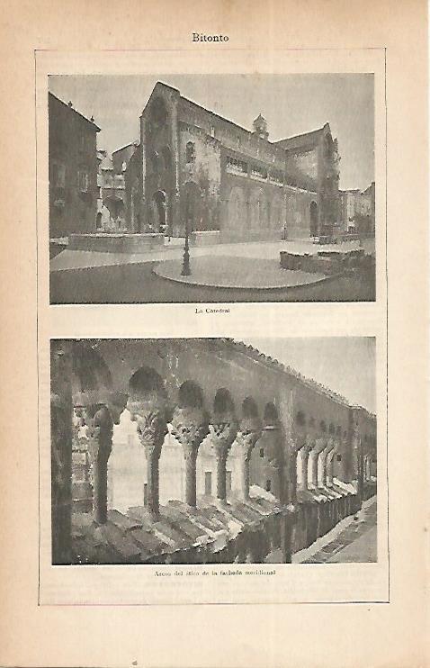 LAMINA ESPASA 22286: Catedral de Bitonto Italia