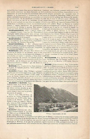 LAMINA ESPASA 22313: Vista de Bleiberg Austria
