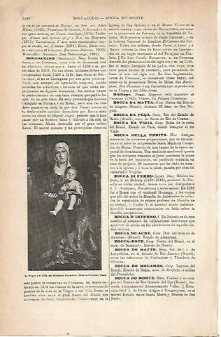LAMINA ESPASA 22327: La Virgen y el Niño por Boccaccino