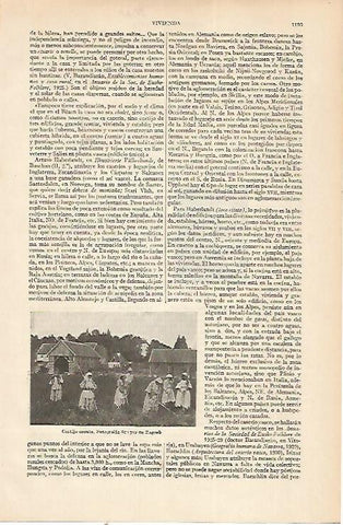 LAMINA ESPASA 22459: Cortijo de Croacia