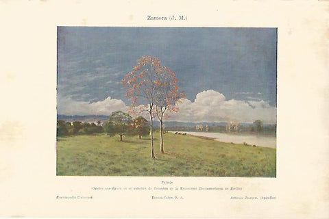 LAMINA ESPASA 22466: Paisaje por J.M. Zamora