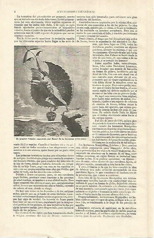 LAMINA ESPASA 22567: El hombre volador de Restif de la Bretonne