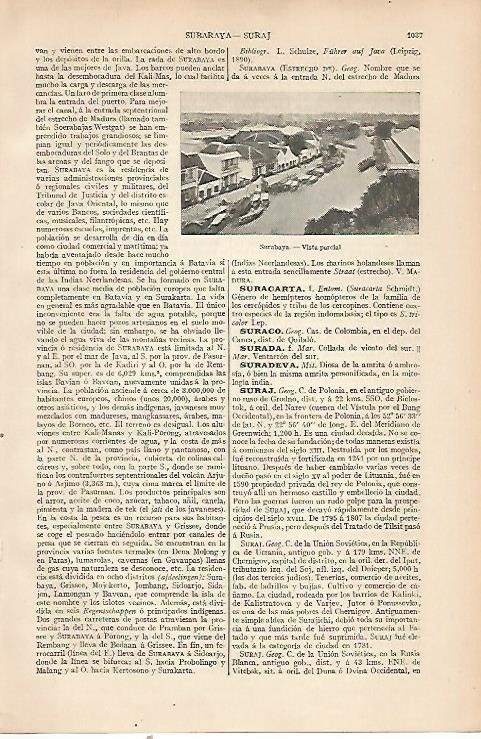 LAMINA ESPASA 22587: Vista de Surabaya