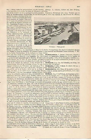 LAMINA ESPASA 22587: Vista de Surabaya