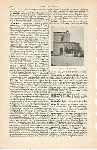 LAMINA ESPASA 22589: Iglesia de Aurio en Surbo Italia