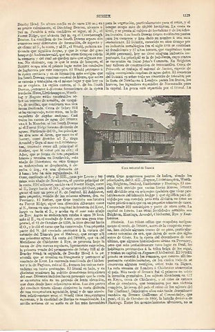 LAMINA ESPASA 22601: Casa señorial de Sussex