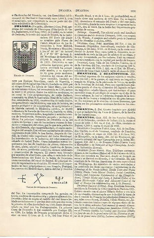 LAMINA ESPASA 22605: Escudo de Swansea Inglaterra