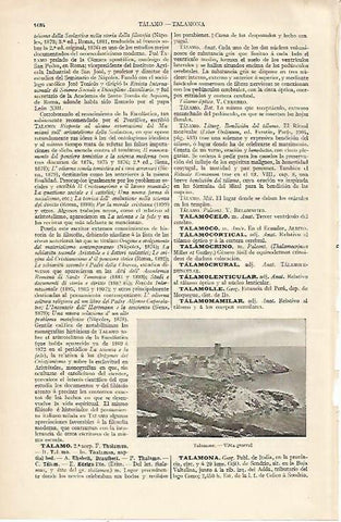 LAMINA ESPASA 22679: Vista de Talamona Italia