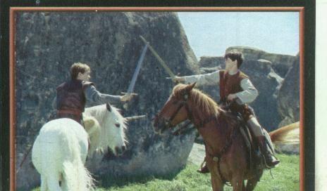 Cromos: Narnia numero 107