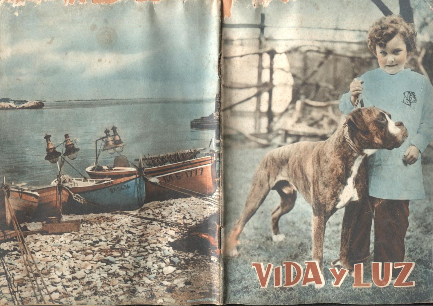 Vida y Luz numero 106: El ruiseñor de Andersen, final cuento