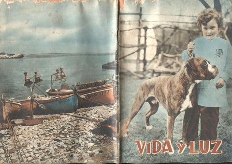 Vida y Luz numero 106: El ruiseñor de Andersen, final cuento