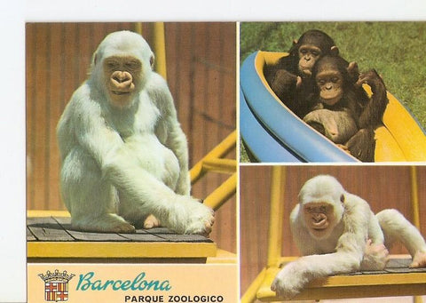 Postal 022278 : parque zoologico de Barcelona