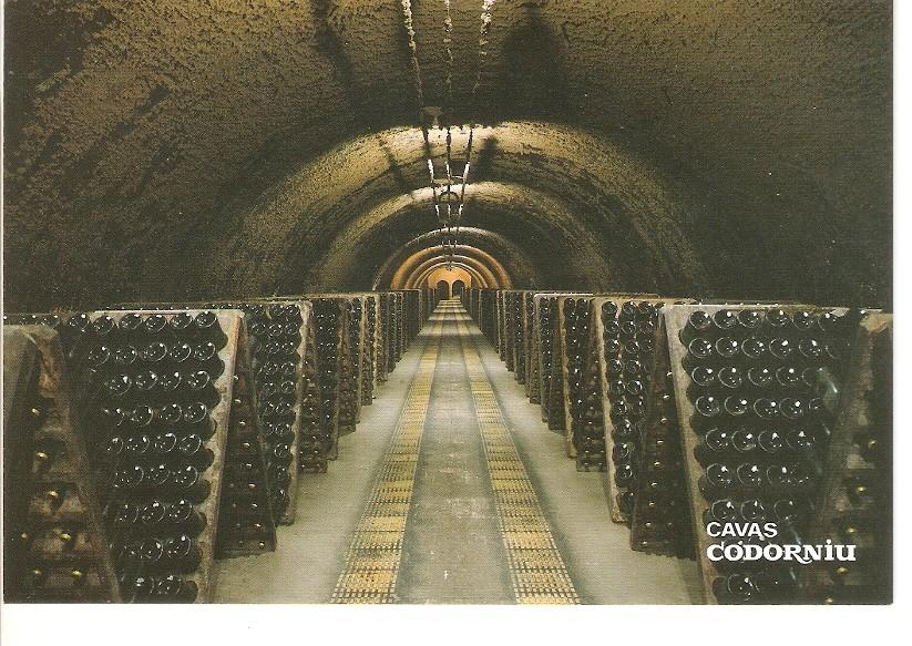 Postal 029425 : Cavas Codorniu Botellas en pupitre