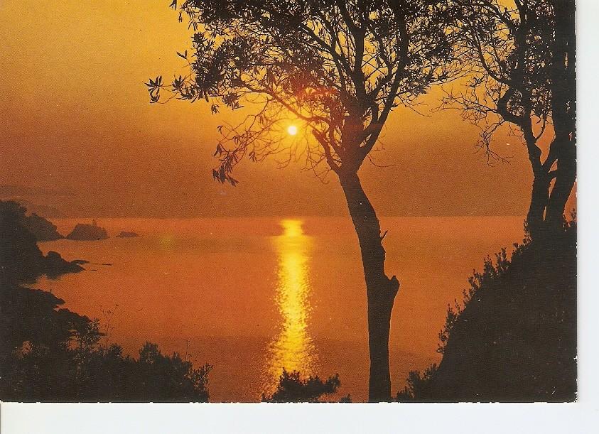 Postal 029499 : Puesta de sol