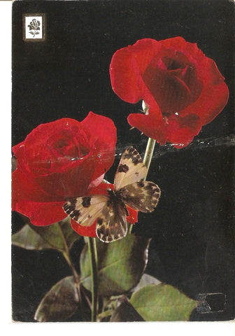 Postal 037982 : Coleccion de Flores
