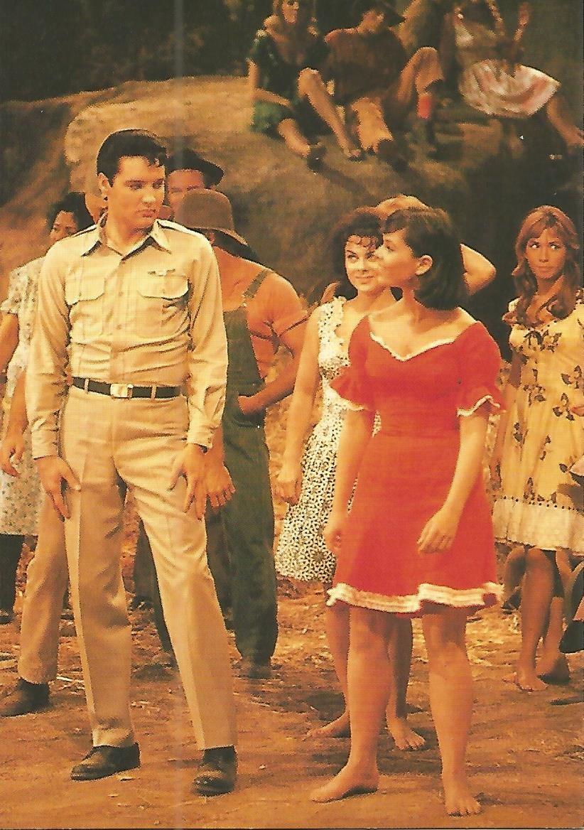 Postal 52727: ELVIS PRESLEY - Kissin Cousins MGM 1964