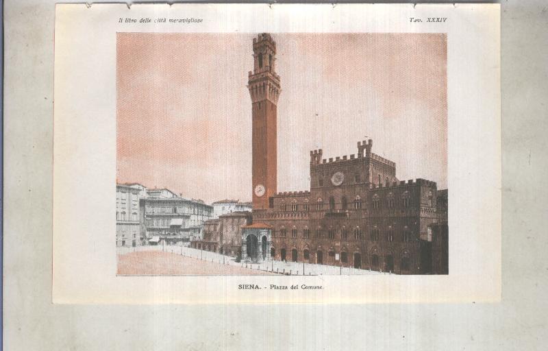 Lamina 34: Siena: Piazza del Comune