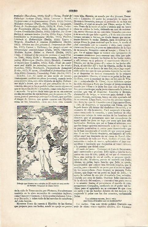 LAMINA ESPASA 22735: Ilustracion de El Suelo de una noche de verano