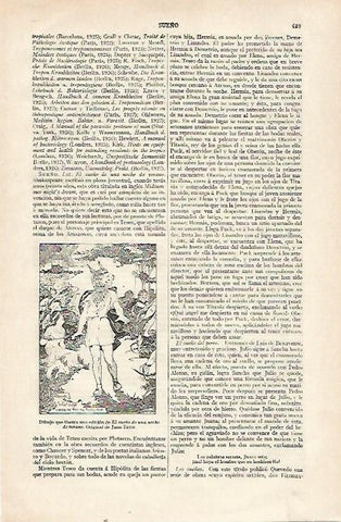 LAMINA ESPASA 22735: Ilustracion de El Suelo de una noche de verano