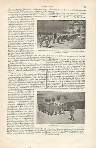 LAMINA ESPASA 22758: Guardia Suiza