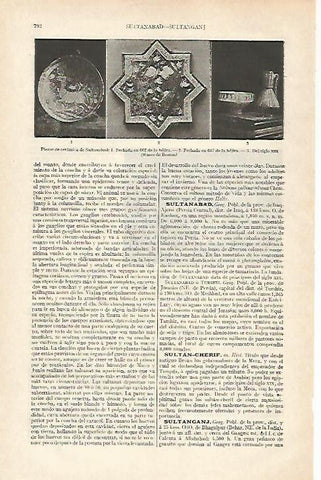 LAMINA ESPASA 22763: Ceramica de Sultanabad