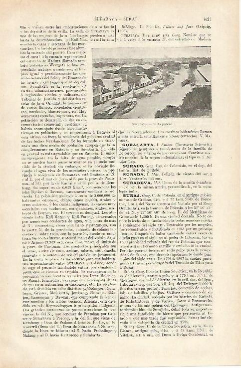 LAMINA ESPASA 22781: Vista de Surabaya