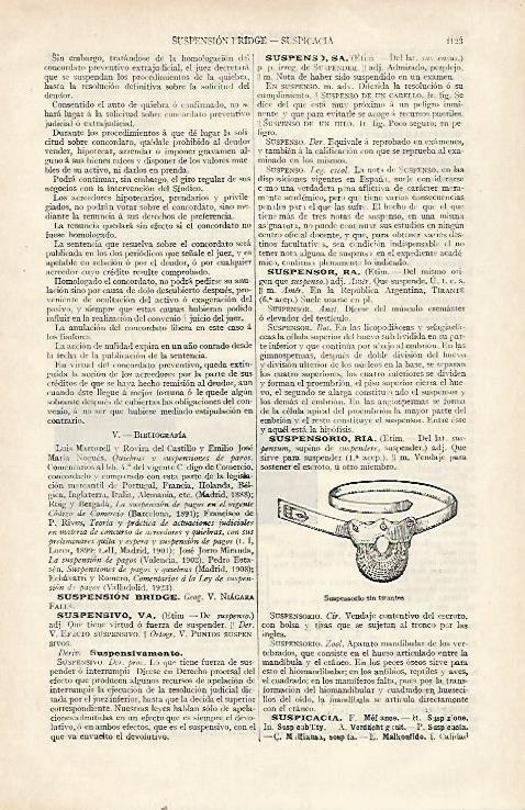 LAMINA ESPASA 22796: suspensorio sin tirantes