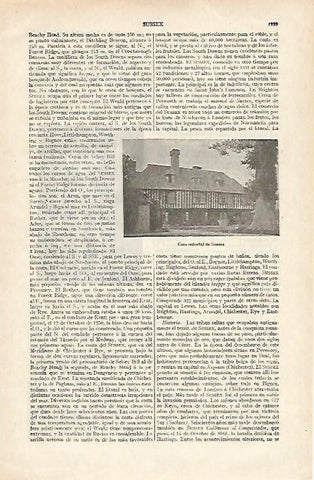 LAMINA ESPASA 22797: Casa de Sussex Gran Bretaña