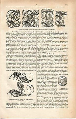 LAMINA ESPASA 22819: T alemanas