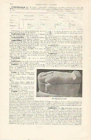 LAMINA ESPASA 22841: Sarcofago del rey Tabnit